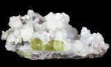Apatite Crystals with Magnetite & Quartz - Durango, Mexico #64022-1